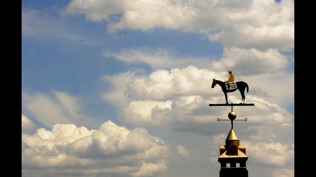 Preakness photos from years past